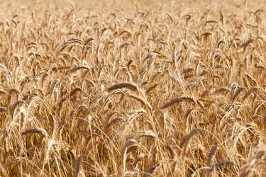 Similar image 7908308