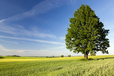 Similar image 7908313