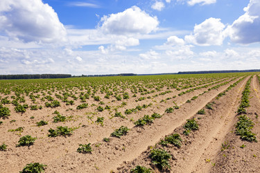 Similar image 7908316