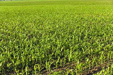 Similar image 7908320