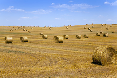 Similar image 7908321