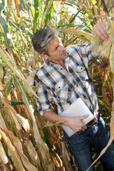 Similar image 7908338