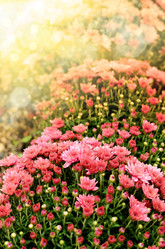 Similar image 7908377