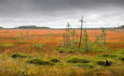 Similar image 7908416