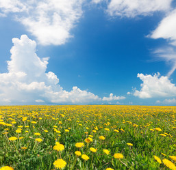 Similar image 7908475