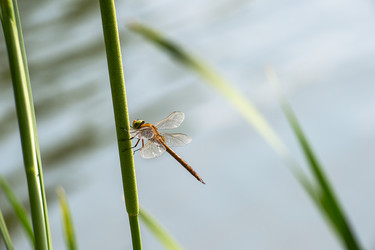 Similar image 7908491