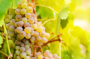 Similar image 7908495