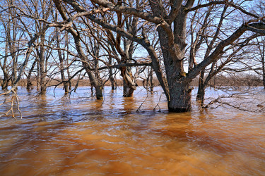 Similar image 7908518