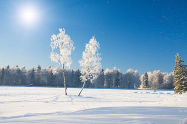 Similar image 7908536