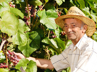 Similar image 7908546