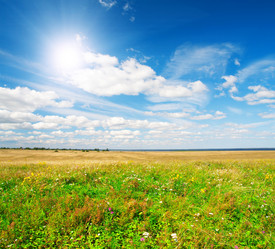 Similar image 7908567