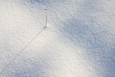 Similar image 7908569