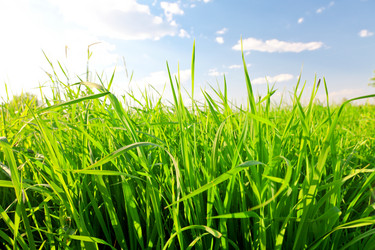 Similar image 7908570