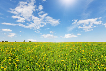 Similar image 7908601