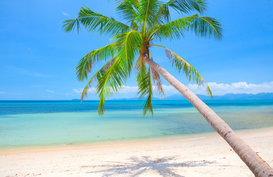 Similar image 7908603