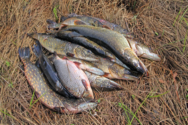 Similar image 7908605