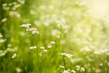 Similar image 7908673