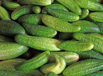 Similar image 7908774