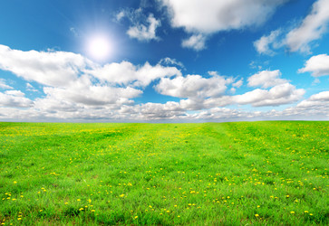 Similar image 7908779