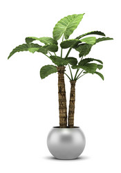 Similar image 7908888