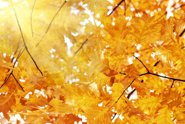 Similar image 7908957