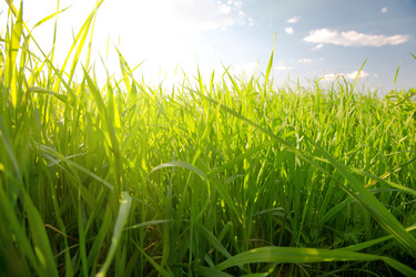 Similar image 7908964