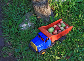 Similar image 7909035