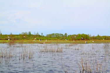 Similar image 7909063