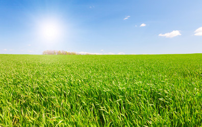 Similar image 7909146