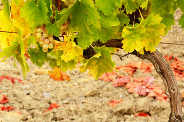 Similar image 7909148