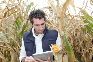 Similar image 7909172