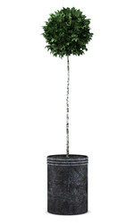 Similar image 7909179