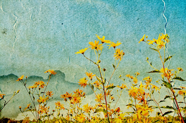 Similar image 7909181