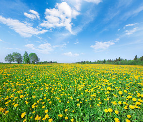 Similar image 7909210