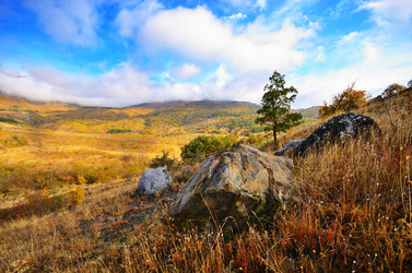 Similar image 7909243