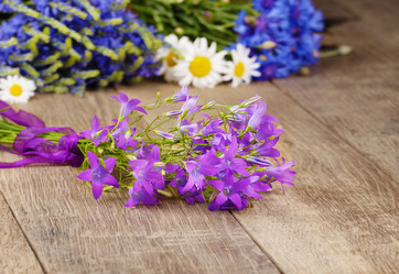 Similar image 7909256