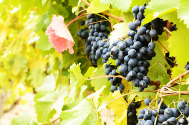 Similar image 7909297