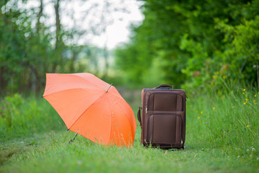 Similar image 7909370