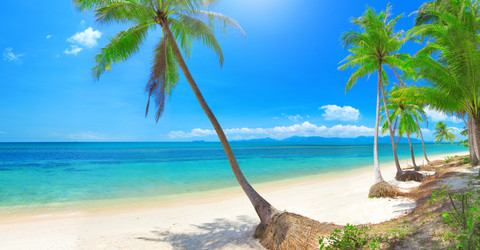 Similar image 7909391