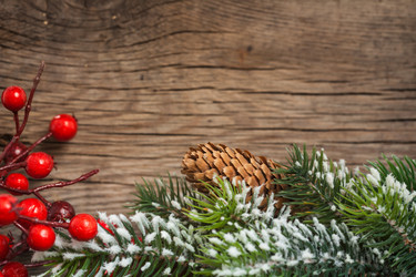 Similar image 7909461