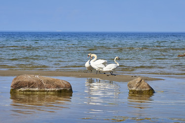 Similar image 7909903