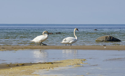 Similar image 7909905