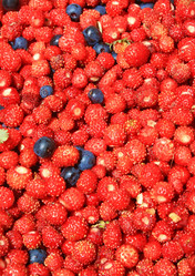 Similar image 7909907