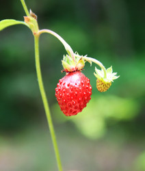 Similar image 7909908