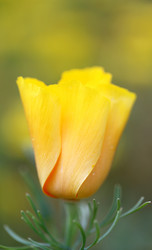 Similar image 7909909