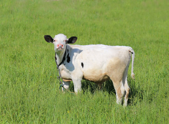 Similar image 7909910