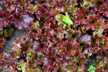 Similar image 7909913