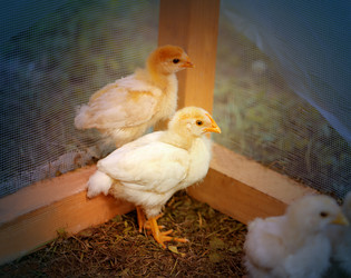 Similar image 7909914