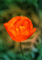 Similar image 7909915