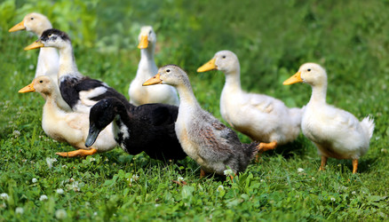 Similar image 7909917